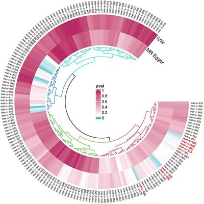 Causal relationship between metabolites and embolic stroke: based on Mendelian randomization and metabolomics